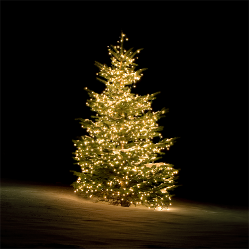 DELTACO SMART Vianočné osvetlenie na stromček 6