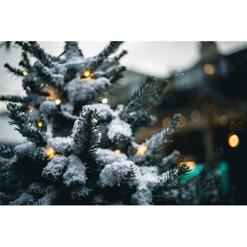 DELTACO SMART Vianočné osvetlenie na stromček 5