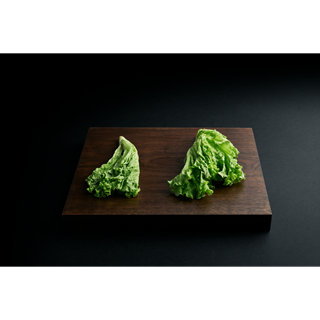 AEG - Vstavaná chladnička s mrazničkou - SCE819E5TS AEG - Vstavaná chladnička s mrazničkou - SCE819E5TS