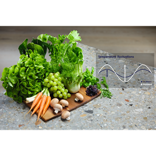 Electrolux - Voľne stojaca chladnička s mrazničkou - LNT5MF36U0 Electrolux - Voľne stojaca chladnička s mrazničkou - LNT5MF36U0